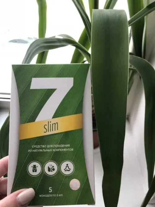 Pro biotic slim : composizione solo ingredienti naturali.